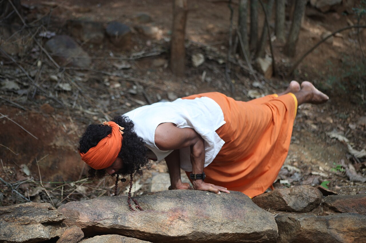serene meditation (foto: Pinkpanther0 / CC BY 4.0, Wikimedia Commons)