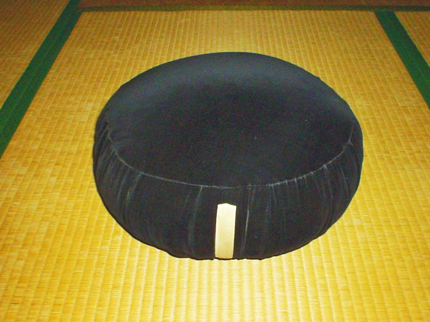 zafu meditation cushion