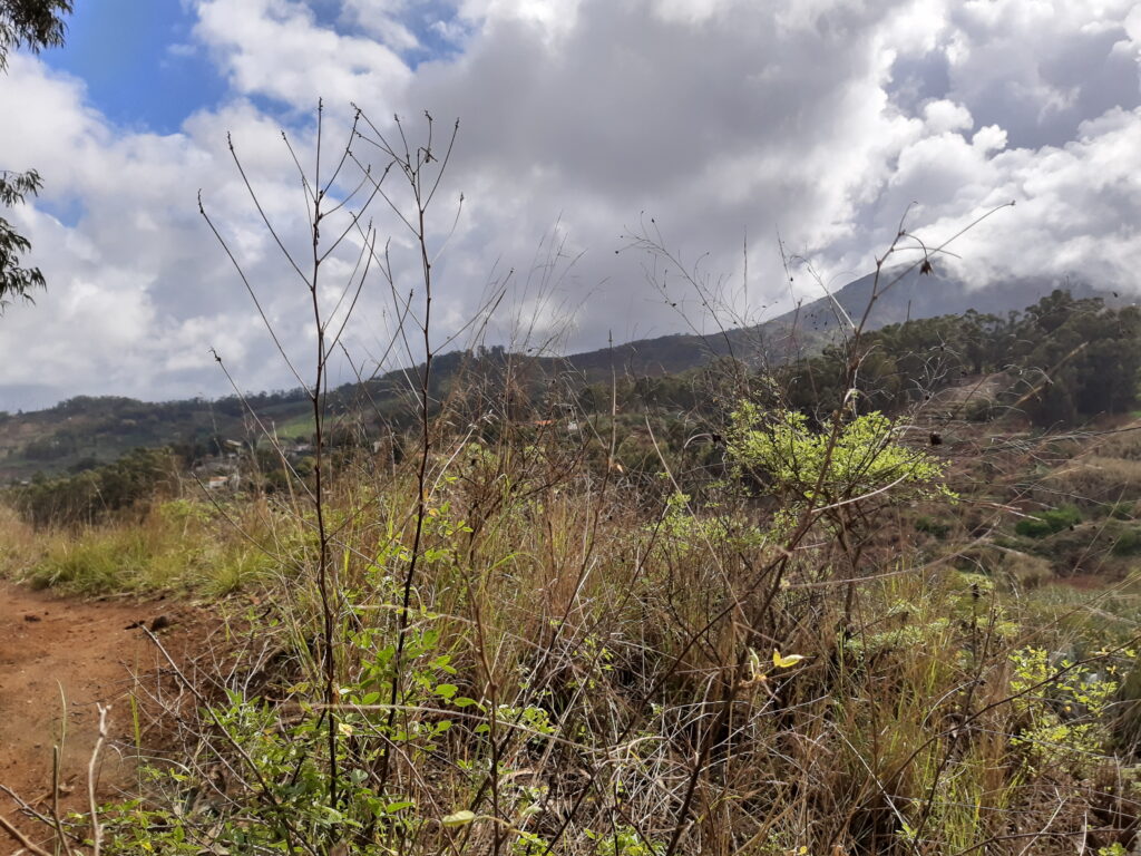 Scarponi da trekking coperti di fango appoggiati sul bordo di un sentiero bagnato