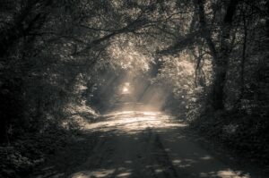 Il cammino verso la serenità: percorsi di pellegrinaggio