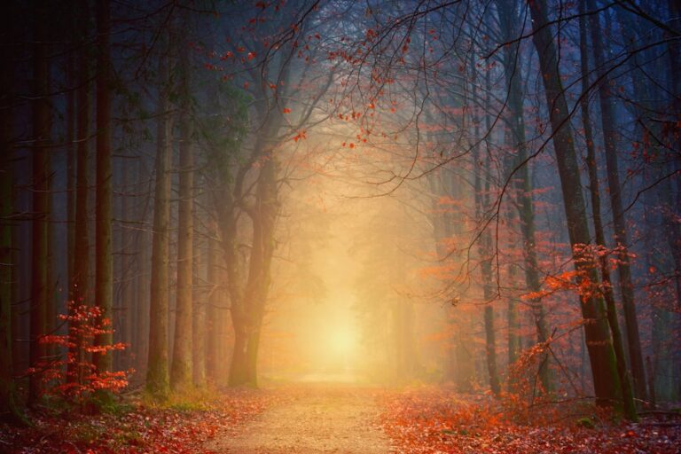 L’importanza del viaggio interiore nella spiritualità