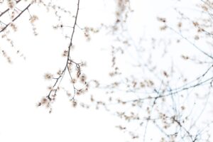 Pellegrinaggi e natura: una connessione profonda