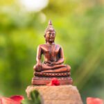 Vipassana di 10 Giorni in Italia: Cosa Sapere Davvero