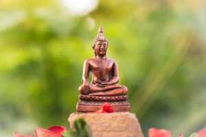 Vipassana di 10 Giorni in Italia: Cosa Sapere Davvero