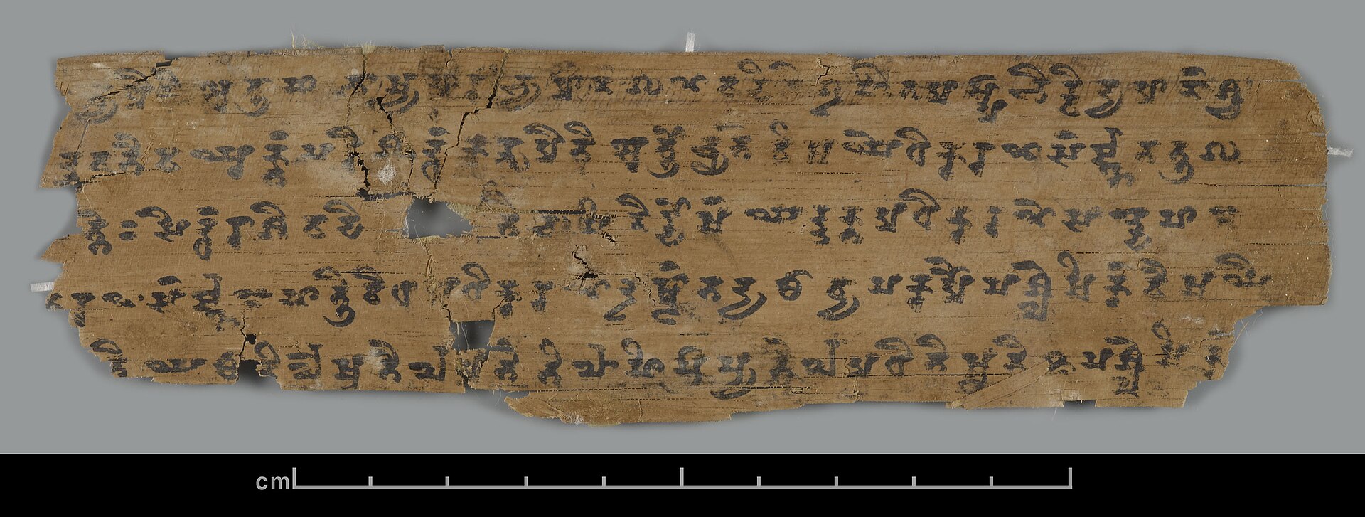 palm leaf manuscript sanskrit