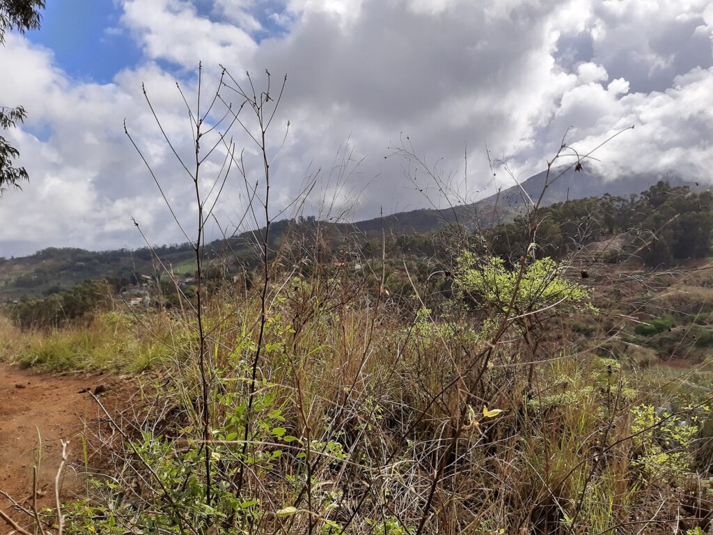 Scarponi infangati su un sentiero di terra bagnata con pozzanghere e solchi profondi